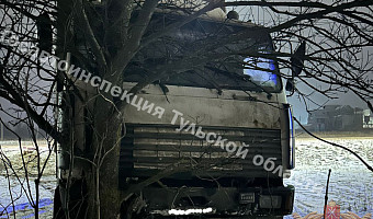 «МАЗ» слетел в кювет и врезался в дерево на трассе в Каменском районе