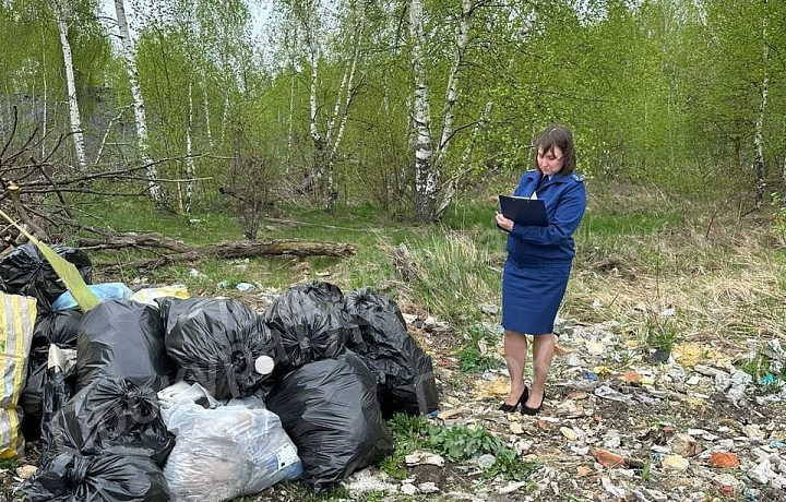 Прокуратура взяла на контроль ликвидацию свалки рядом с деревней Белогузово в Щекинском районе