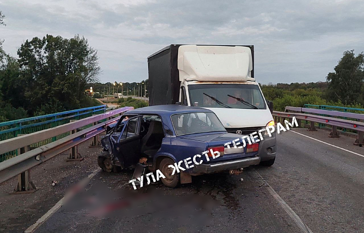 На трассе М-4 в Ефремовском районе столкнулись «Газель» и легковушка