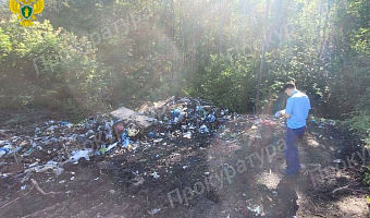 Прокуратура начала проверку после обнаружения несанкционированной свалки в поселке Косая Гора