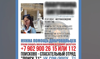В Киреевском районе волонтеры начали поиск пропавшей девочки