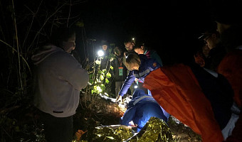 За июнь пять пропавших жителей Тульской области нашли мертвыми