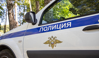 Полицейские раскрыли кражу товара со склада в Алексине