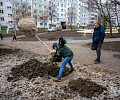 На Молодежном бульваре в Туле высадят 112 деревьев и около 150 кустарников