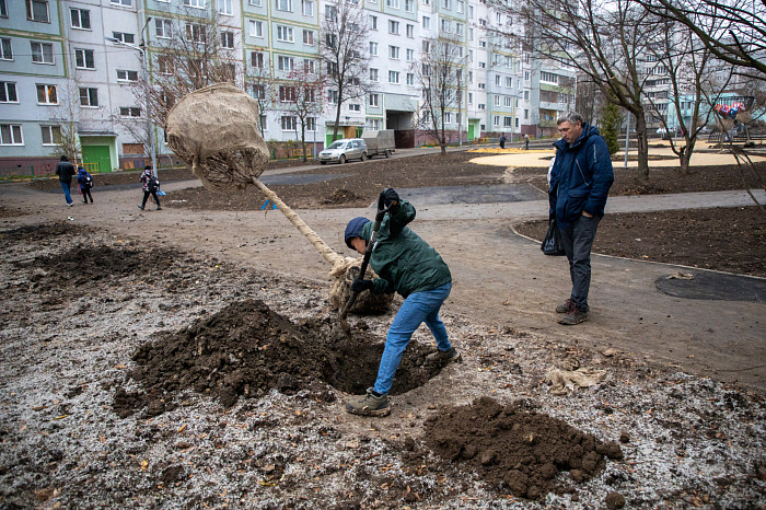 На Молодежном бульваре в Туле высадят 112 деревьев и около 150 кустарников