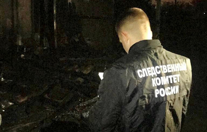 Семейная пара погибла на пожаре в селе Иван-Озеро под Новомосковском
