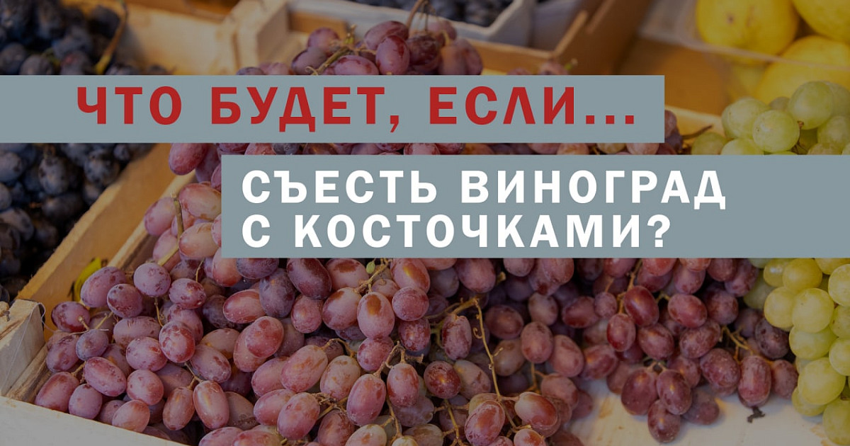 Калорийность винограда. Что будет если съесть косточку от винограда. Что будет если проглотить косточку от винограда. Виноградная косточка.