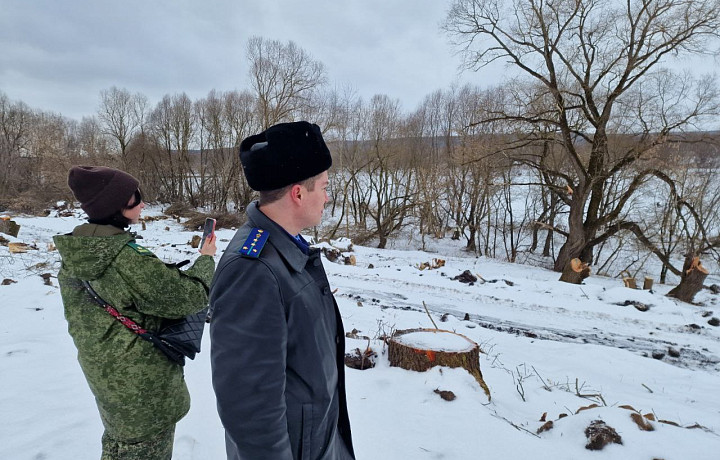 Тульская прокуратура проверила приток Оки на наличие нарушений закона об охране природы