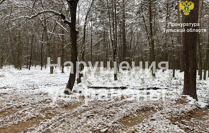 В Плавском районе из леса по требованию прокуратуры вывезена заготовленная древесина