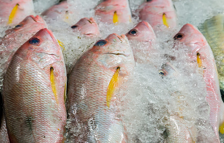 В Роспотребнадзоре напомнили об опасности сырой рыбы и морепродуктов