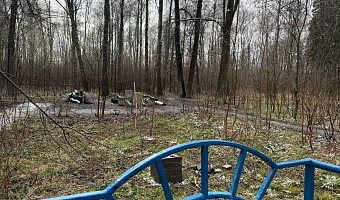 Грязь, пьяницы и наркоманы: туляки пожаловались на состояние парковой зоны в Горелках
