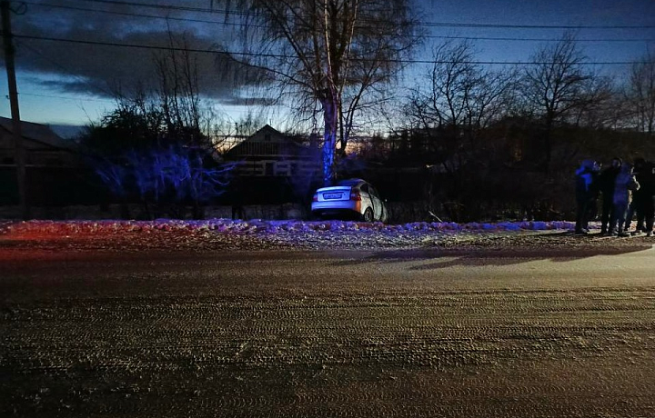 В Новомосковске водитель Lada Priora не справился с управлением и врезался в дерево