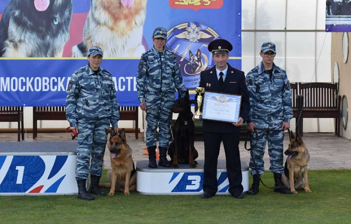 Тульские кинологи стали призерами чемпионата МВД России по многоборью