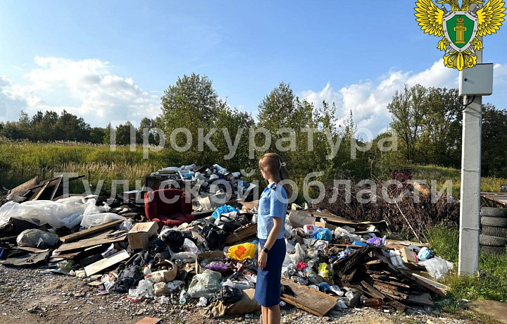 В гаражном кооперативе в тульских Горелках выявили несанкционированную свалку