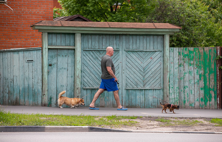 Сальмонеллез – от аквариумных рыбок: какие болезни может «подцепить» человек от домашних животных