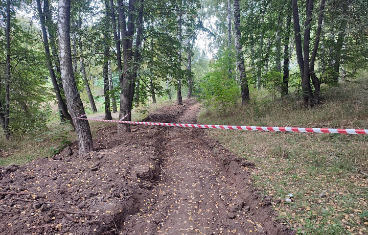 В Рогожинском парке Тулы начали благоустраивать дорожки и тропинки