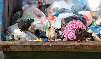 Сколько мусора «производят» жители Тульской области, куда свозят отходы и много ли захоранивают