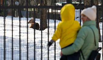 Елисса, Ассоль, Зевс, Данте, Матрона: как в Тульской области называли детей в 2024 году