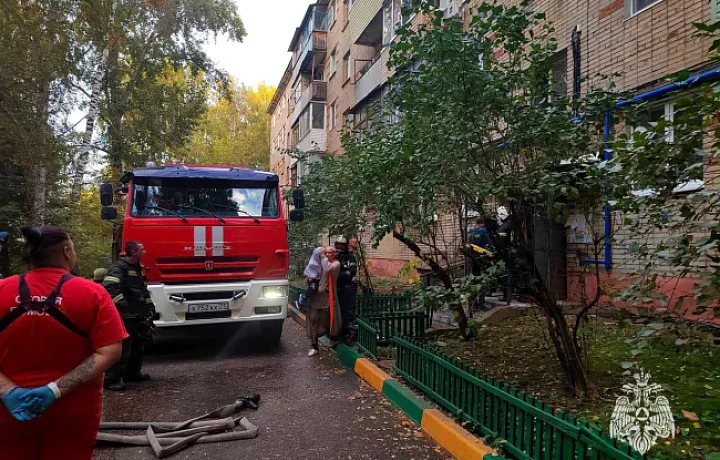 За прошлые сутки спасатели потушили три пожара в Тульской области