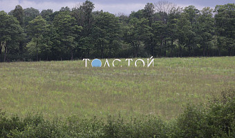 Миляев назвал фестиваль «Толстой» уникальным не только для Тульской области, но и для всей России
