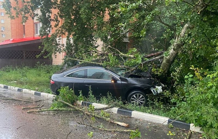 В Туле водитель уходил от погони и врезался в дерево