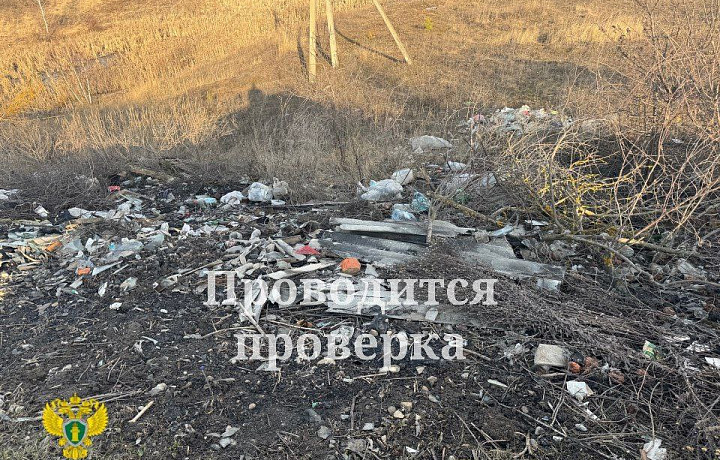 Прокуратура обнаружила несанкционированную свалку в рабочем поселке Арсеньево Прокуратура обнаружила несанкционированную свалку в рабочем поселке Арсеньево