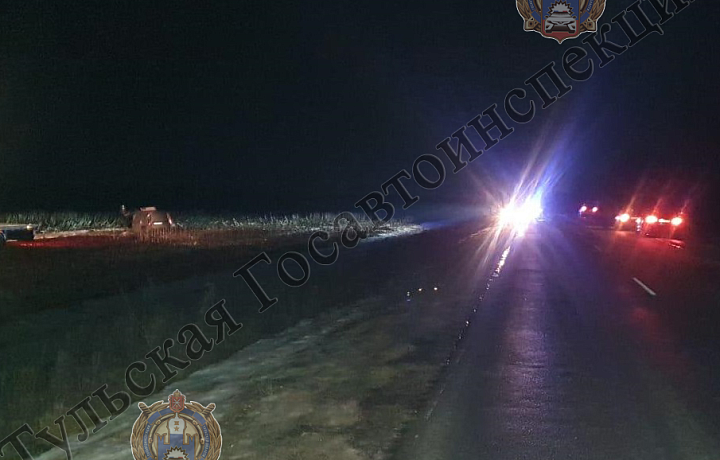 Водитель и пассажир автомобиля Lada Largus погибли на месте аварии в Богородицком районе