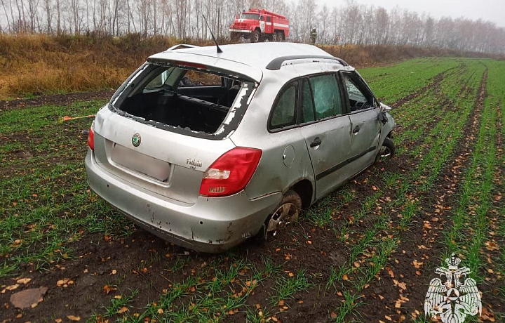 В Каменском районе Skoda Fabia вылетела в кювет: три человека погибли