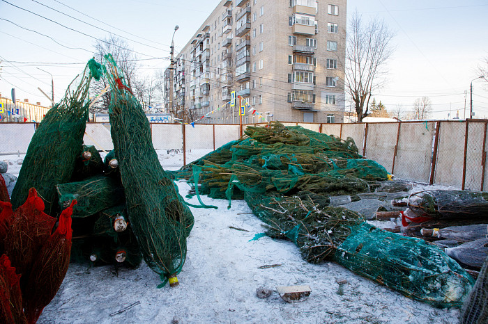 В Туле открылись 33 елочных базара - карта