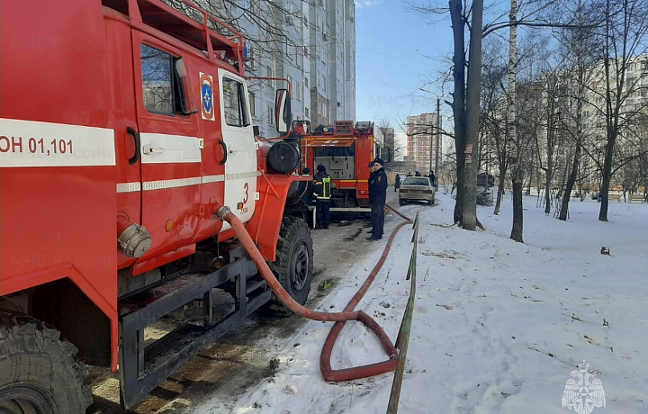 В Туле на улице Вильямса загорелась квартира в девятиэтажном доме