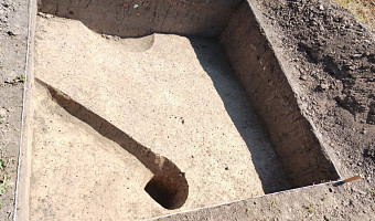Археологи обнаружили серебряную копейку эпохи Петра I в тульской усадьбе Нарышкиных
