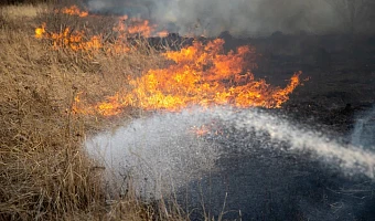 В Ефремовском районе Тульской области сохраняетcя чрезвычайная степень пожароопасности
