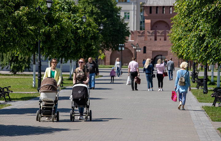 34% туляков поддерживают запрет движения чайлдфри в России