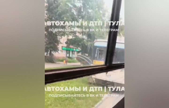 Стали известны подробности ДТП с троллейбусом на улице Федора Смирнова в Туле