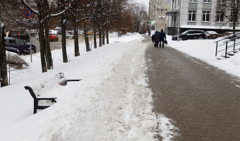 В Туле и области 17 января потеплеет до +3 градусов