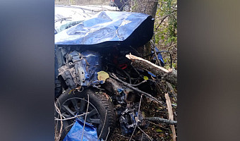 19-летний водитель на «Mazda 3» врезался в дерево на дороге в Тульской области