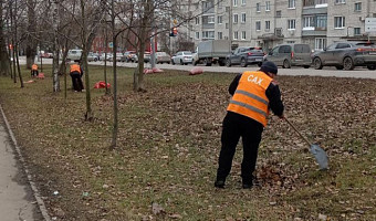 Сто единиц спецтехники задействуют в уборке Тулы 12 ноября