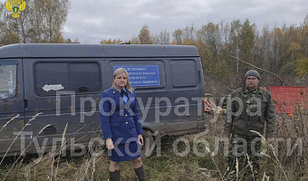 Установлена личность женщины, которую насмерть загрызли собаки в Кимовске