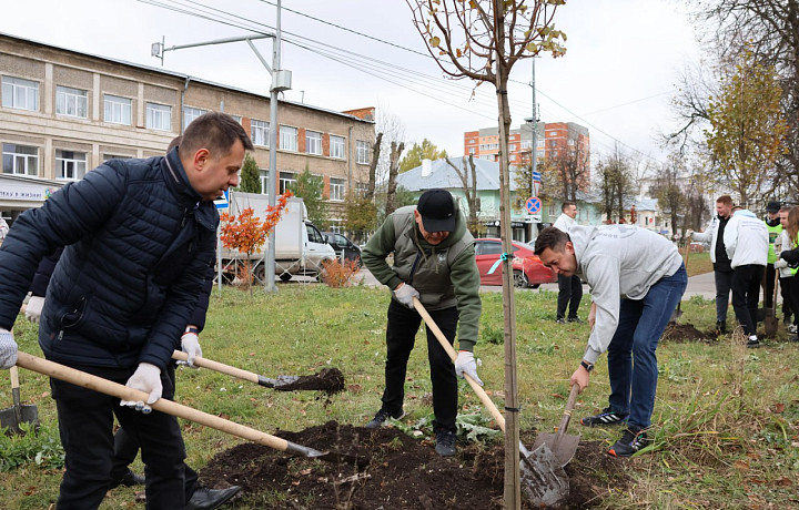 В Новомосковске высадили липовую аллею