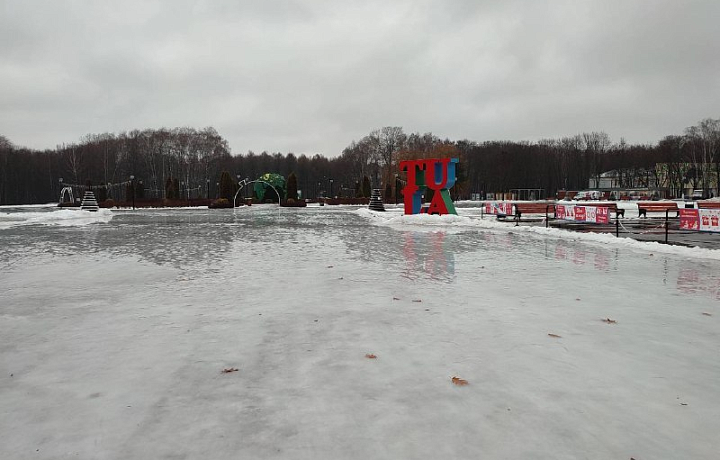 В Центральном парке Тулы из-за оттепели растаял каток