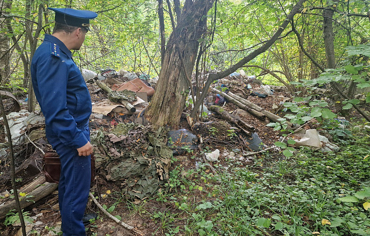 Тульская природоохранная прокуратура выявила незаконные свалки в районе деревни Островки