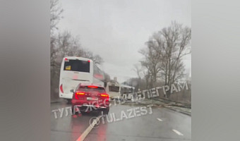 На Зеленстрое в Туле собирается пробка из-за рухнувшего на дорогу дерева