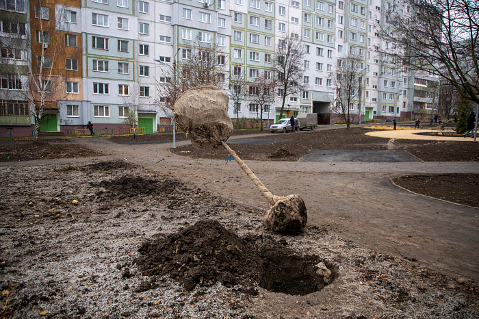 На Молодежном бульваре в Туле высадят 112 деревьев и около 150 кустарников