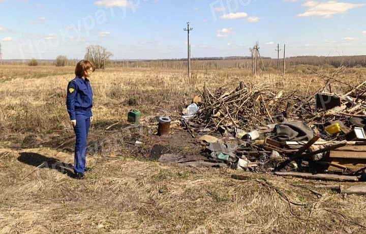 Прокуратура выявила несанкционированную свалку в киреевском Болохове