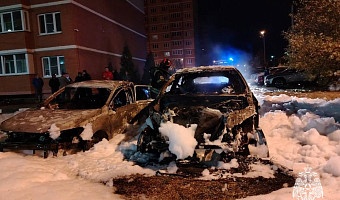 В Новомосковске установлены исполнители и заказчик поджога трех иномарок