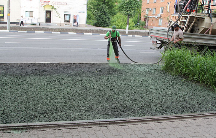 Озеленение Красноармейского проспекта в Туле прошло по новой технологии