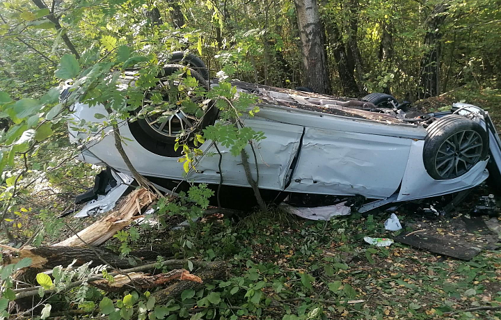 Водитель Audi, не справившийся с управлением, погиб на месте ДТП в Алексинском районе